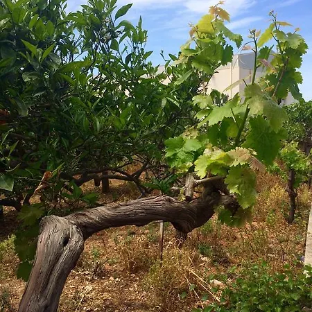 Sogno Siculo Marsala